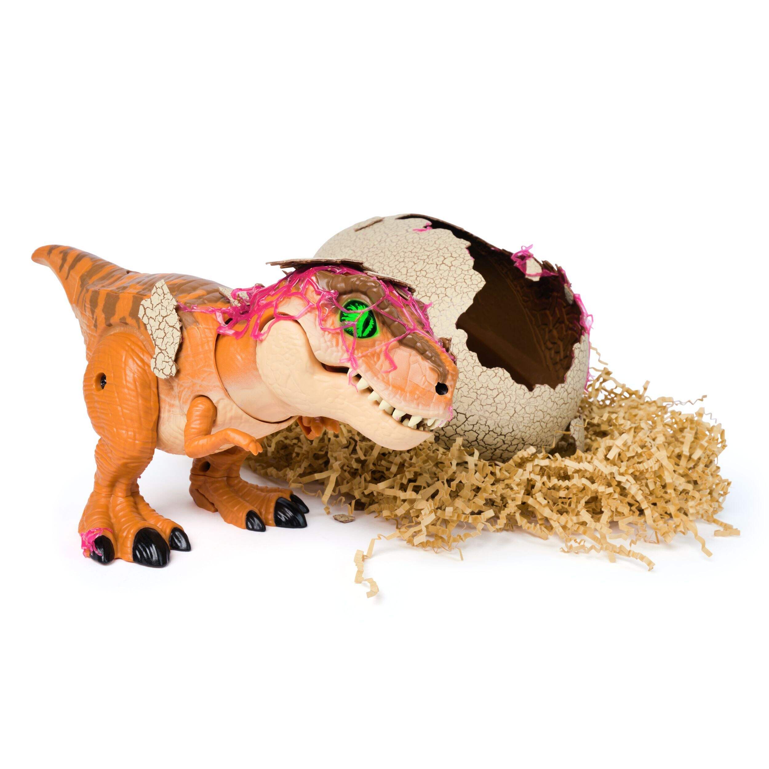 Noël & Co. Hatching Dinosaur