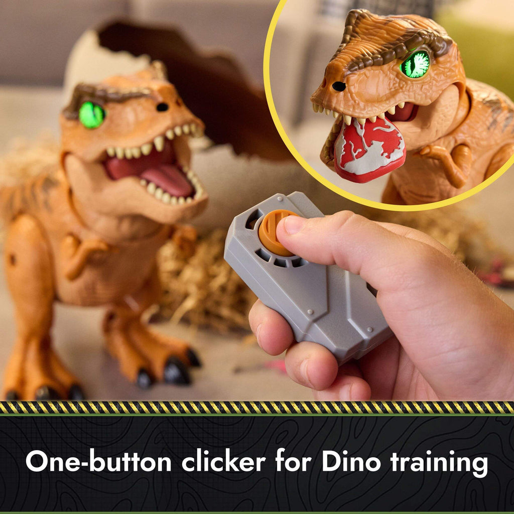 Noël & Co. Hatching Dinosaur