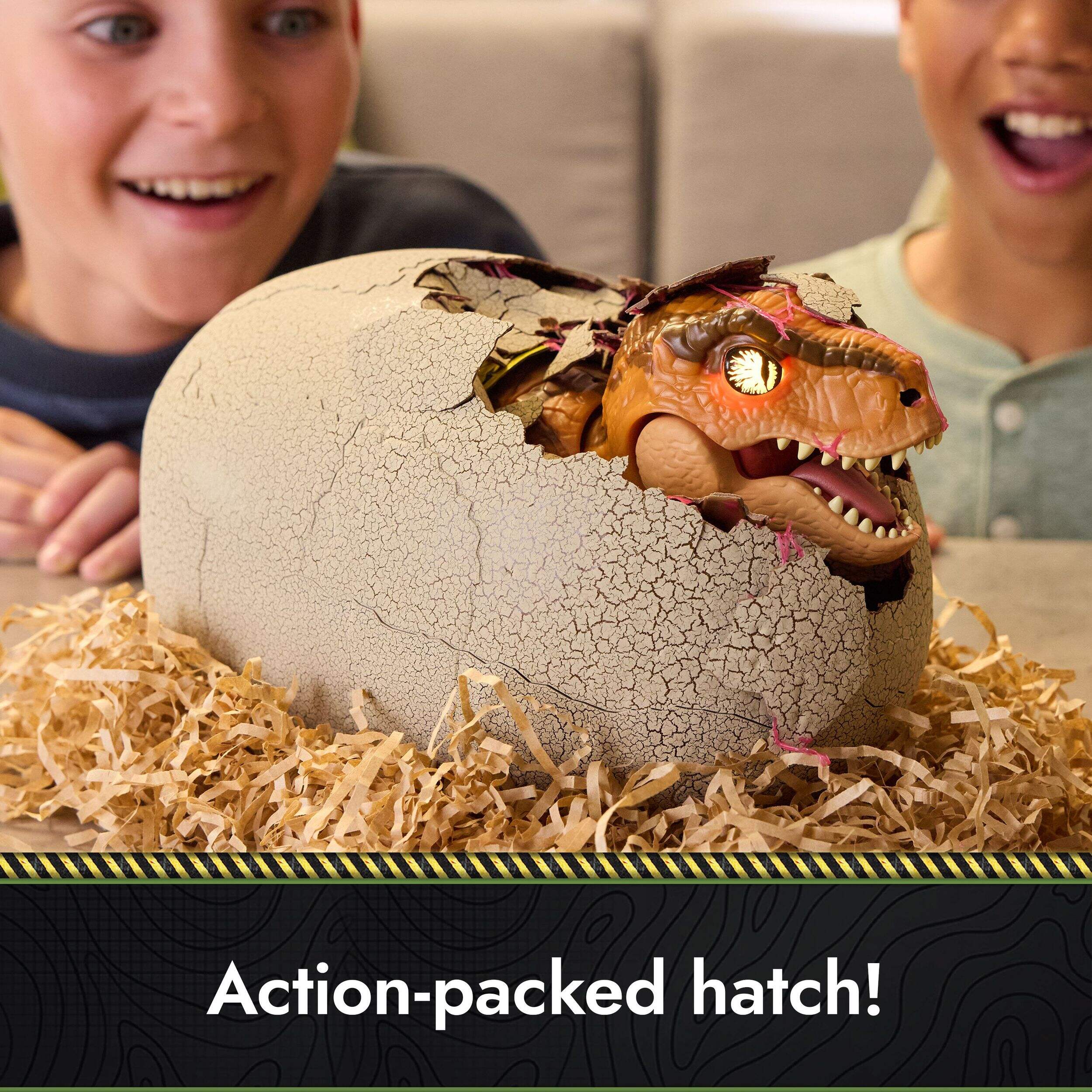 Noël & Co. Hatching Dinosaur